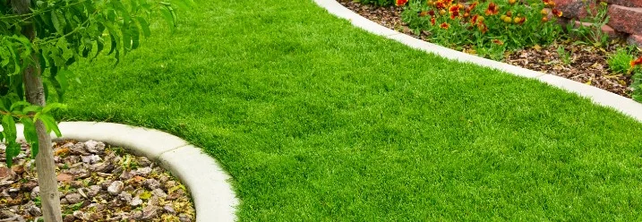 Gepflegter Garten mit Rasen und Blumen